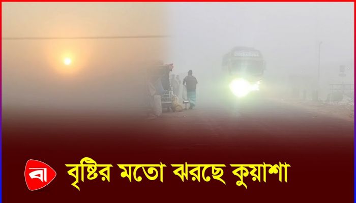 হাসপাতালে বাড়ছে শিশু ও বয়স্ক রোগী