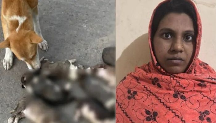 আট কুকুরছানা হত্যায় গ্রেপ্তারকৃত সেই নারীর জামিন মঞ্জুর