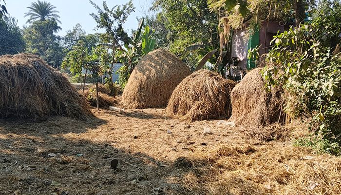 পাবনায় সরকারি রাস্তা দখল ও জমিতে ঘর নির্মাণের অভিযোগ