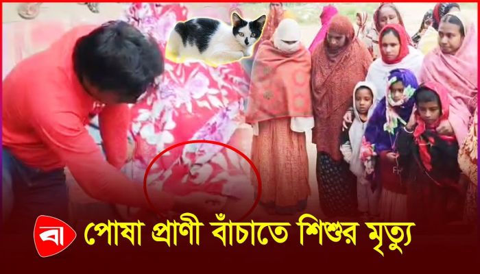 বৈদ্যুতিক তারে চুল আটকে শিশুর মৃত্যু