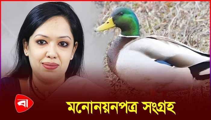 হাঁস চাইবেন ধান না পাওয়া রুমিন