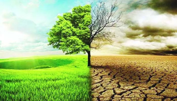 বৈশ্বিক জলবায়ু অর্থায়ন বাড়াতে প্রয়োজন সক্ষমতা বৃদ্ধি