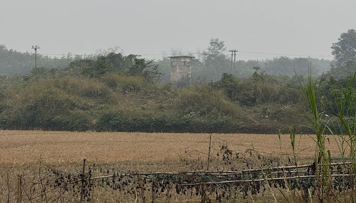 ফেনী সীমান্তে অবাধ ভারতীয় সিম, বাড়ছে নিরাপত্তা ঝুঁকি