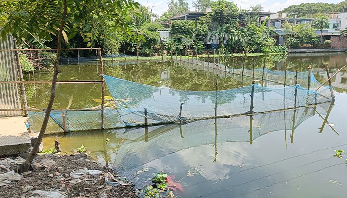 সরকারি পুকুর দখলের চেষ্টায় মামলা