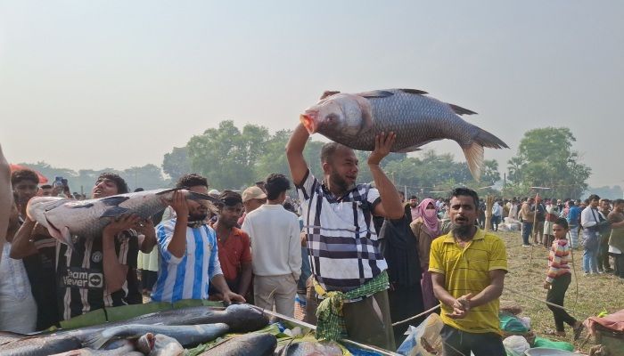 জামাই মেলায় কোটি টাকার মাছ বিক্রি 