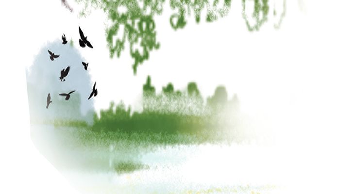 সাইবেরিয়ান পাখি