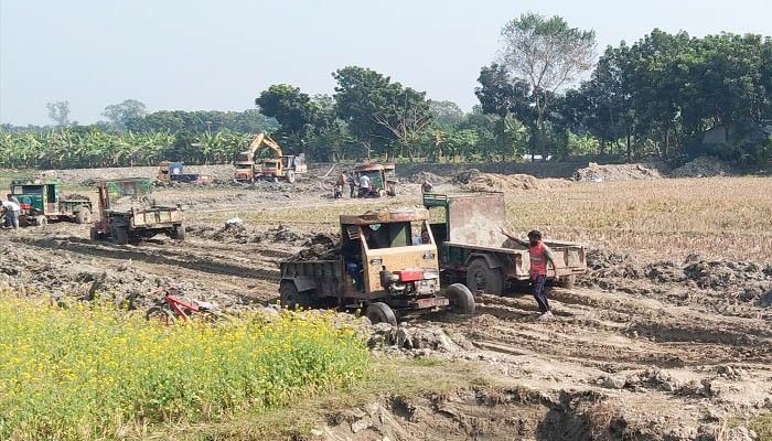 হারিয়ে যাচ্ছে চাষের জমি 