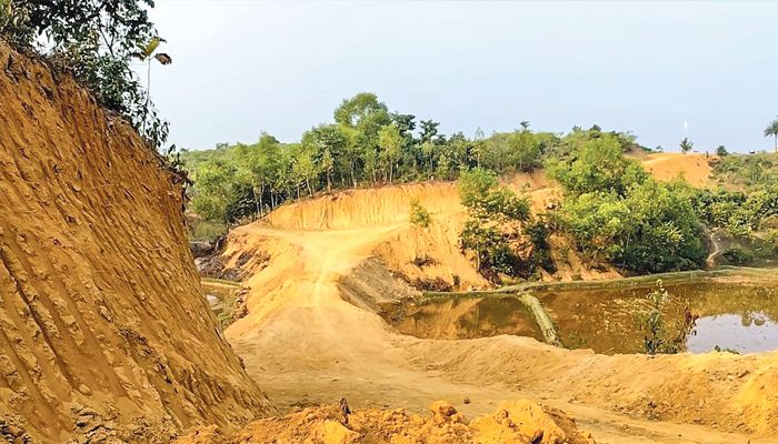 পরিবেশ ধ্বংসের ‘বিধ্বংসী উৎসব’ বন্ধ হোক