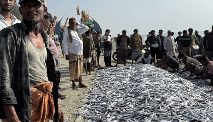 জালে ধরা পড়ছে ১০ লাখ টাকার ছুরি মাছ
