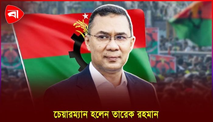 তারেক রহমান চেয়ারম্যান হওয়ায় কী বলছেন দলের নেতাকর্মীরা?