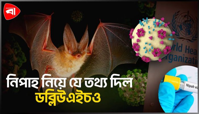 নিপাহ ভাইরাস নিয়ে ‘স্বস্তির বার্তা’