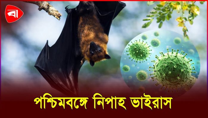 ভারতে নিপাহ, সতর্ক এশিয়া