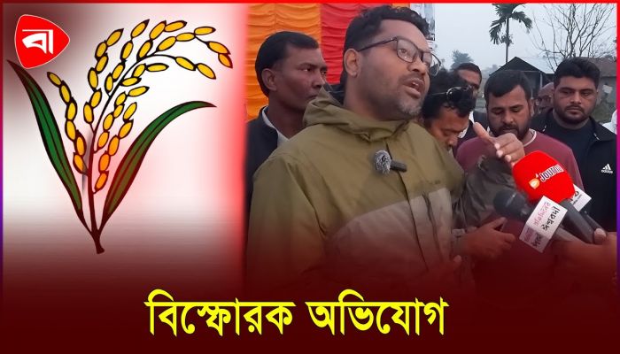 ধানের শীষের প্রতীক ‘ভুলবশত স্বৈরাচারের হাতে গেছে: মেহেদী হাসান