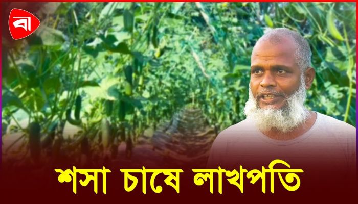 রানা প্লাজা ধস যেভাবে বদলে দিল ভাগ্য