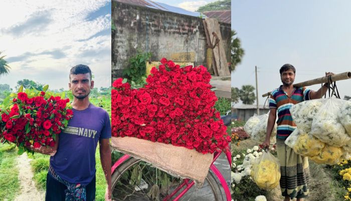 তিন দিবসে জমেনি গদখালীর ফুলের বাজার, হতাশ চাষিরা
