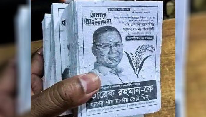 কাগজের বুক চিরে সবুজের হাতছানি