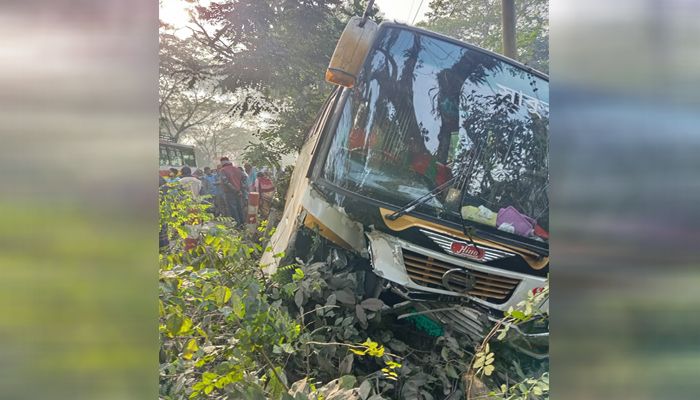 বরিশাল থেকে ঢাকার উদ্দেশ্যে ছেড়ে আসা যাত্রীবাহী বাস উজিরপুরে এসে নিয়ন্ত্রণ হারিয়ে ফেলে । ছবি: প্রতিদিনের বাংলাদেশ