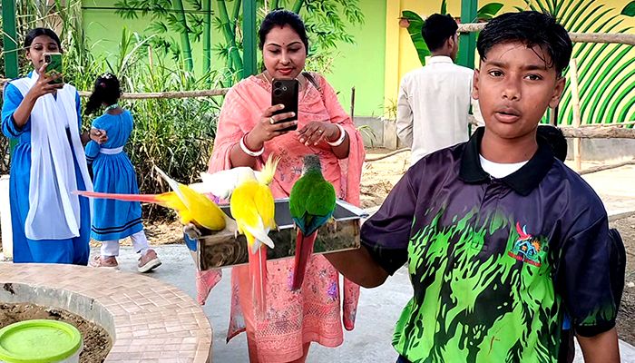 চাইলেই পাখিদের ছুঁয়ে দেখা যায় যেখানে