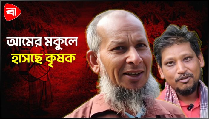 মকুলের সৌরভে স্বপ্ন বুনছেন গোমস্তাপুরের আম চাষীরা
