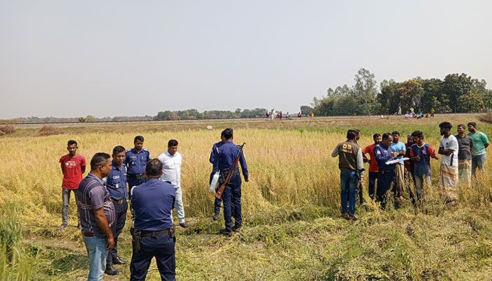 উঠানে দাদির নিথর দেহ, সরিষাক্ষেতে নাতনির