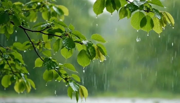 ঢাকাসহ আট বিভাগে বৃষ্টির আভাস, হতে পারে শিলাবৃষ্টিও