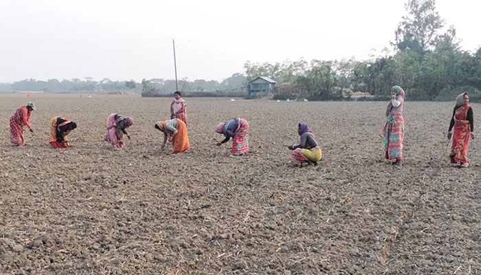 উপকূলের নারীদের নীরব লড়াই