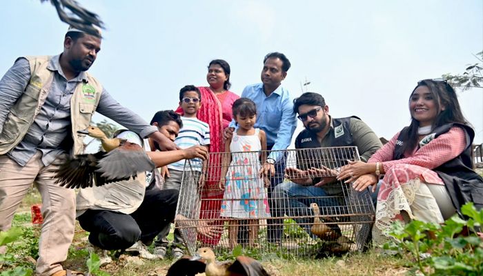 বনানী থেকে উদ্ধারকৃত বুনো হাঁস পূর্বাচলে অবমুক্ত