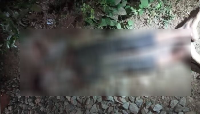 কালীগঞ্জে ৫ দিনের ব্যবধানে একই স্থানে ট্রেনে কাটা পড়ে দুই জনের মৃত্যু