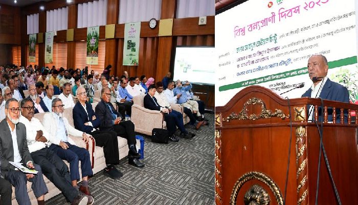 পাঁচ বছরে ২৫ কোটি বৃক্ষরোপণের পরিকল্পনা সরকারের