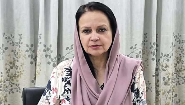জেবা আমিনার আইনি ও ব্যক্তিগত বিতর্কে তোলপাড়