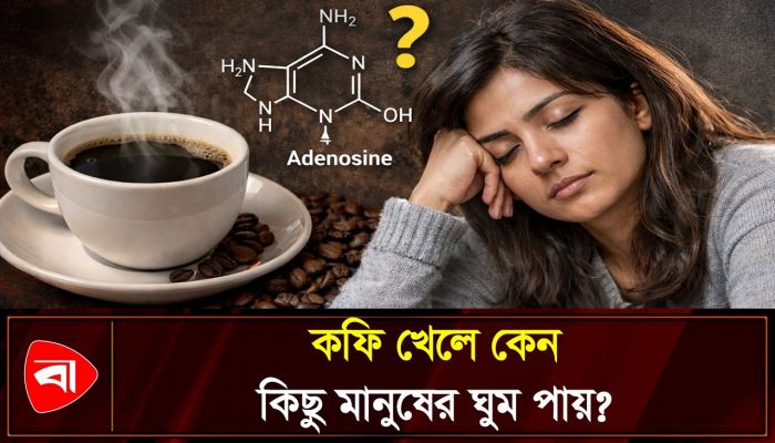 কফি খেয়ে ঘুম পায়? জানুন এর পেছনের বৈজ্ঞানিক কারণ