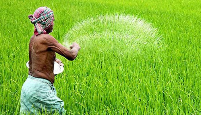 কৃষকের স্বার্থে বাস্তবমুখী পদক্ষেপ জরুরি