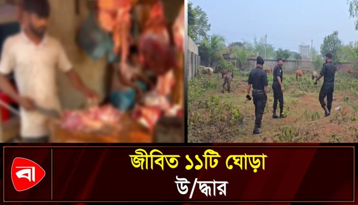 ঘোড়ার মাংস গরুর মাংস বলে বিক্রির অভিযোগ