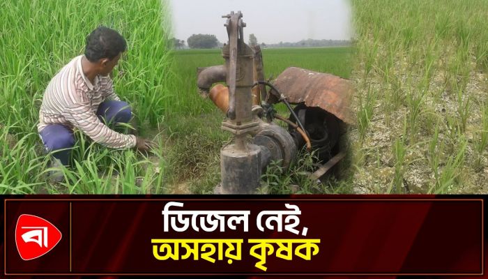 ডিজেল সংকটে বোরো আবাদে ঝুঁকি