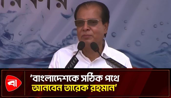 তারেক রহমান কথা বলার জন্য বলেন না, কাজ করার জন্য বলেন: দুলু