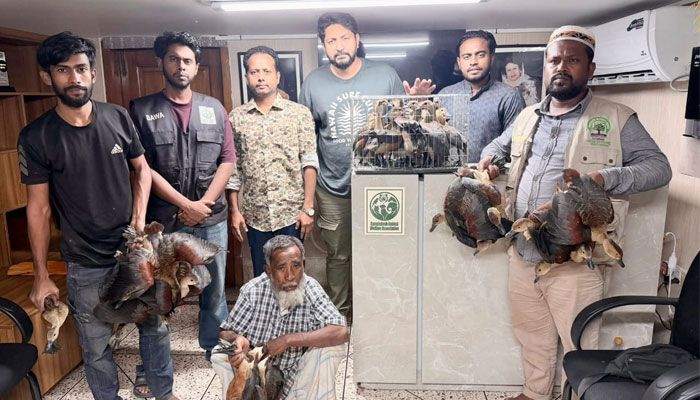 বনানীতে তিন বস্তা বুনো হাঁস উদ্ধার