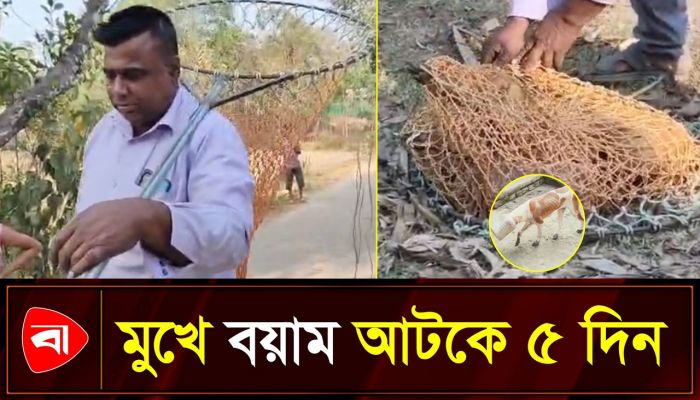 মৃত্যুর মুখ থেকে ফিরল অবলা প্রাণী