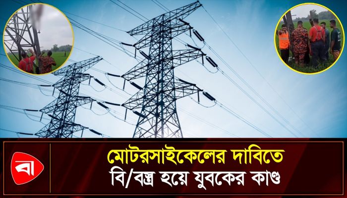 হাই-ভোল্টেজ বৈদ্যুতিক খুঁটিতে যুবক, অতঃপর...