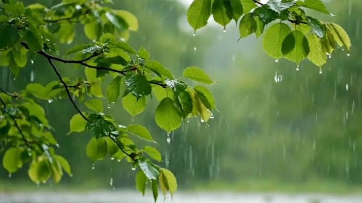 পাঁচ বিভাগে বৃষ্টির আভাস