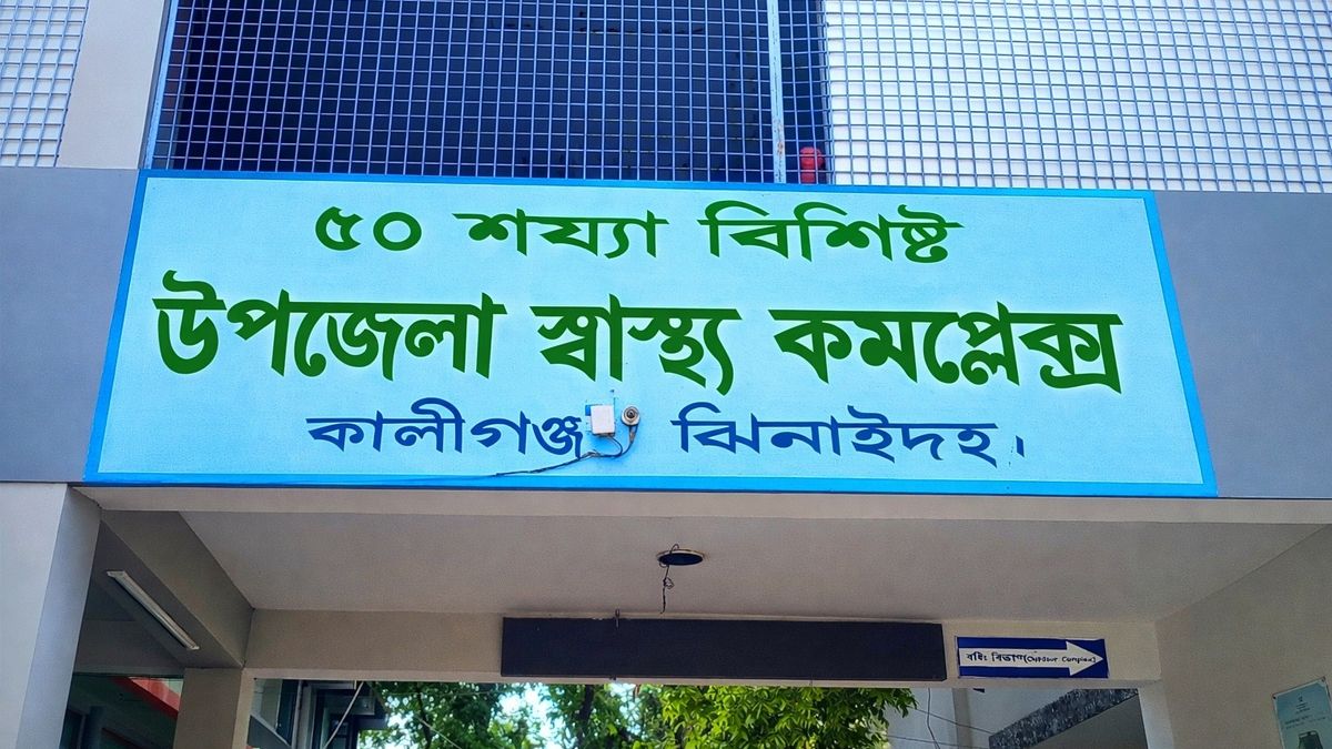 কালীগঞ্জে কুকুরের কামড়ে শিশুসহ ২৩জন আহত 