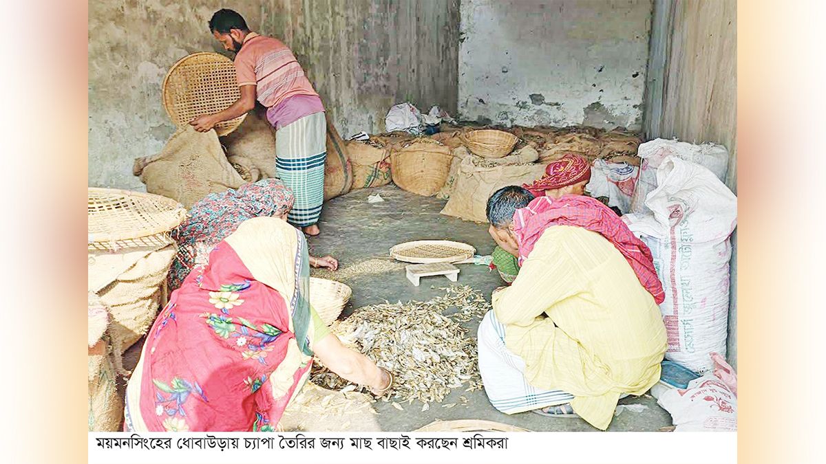 চ্যাপায় ভাগ্যবদল জহুর আলীর