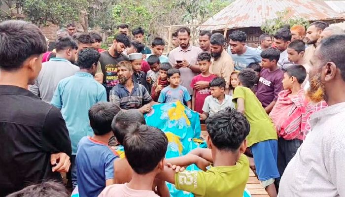 ঝিনাইদহে বিদ্যুৎস্পৃষ্টে মামা-ভাগ্নের মৃত্যু