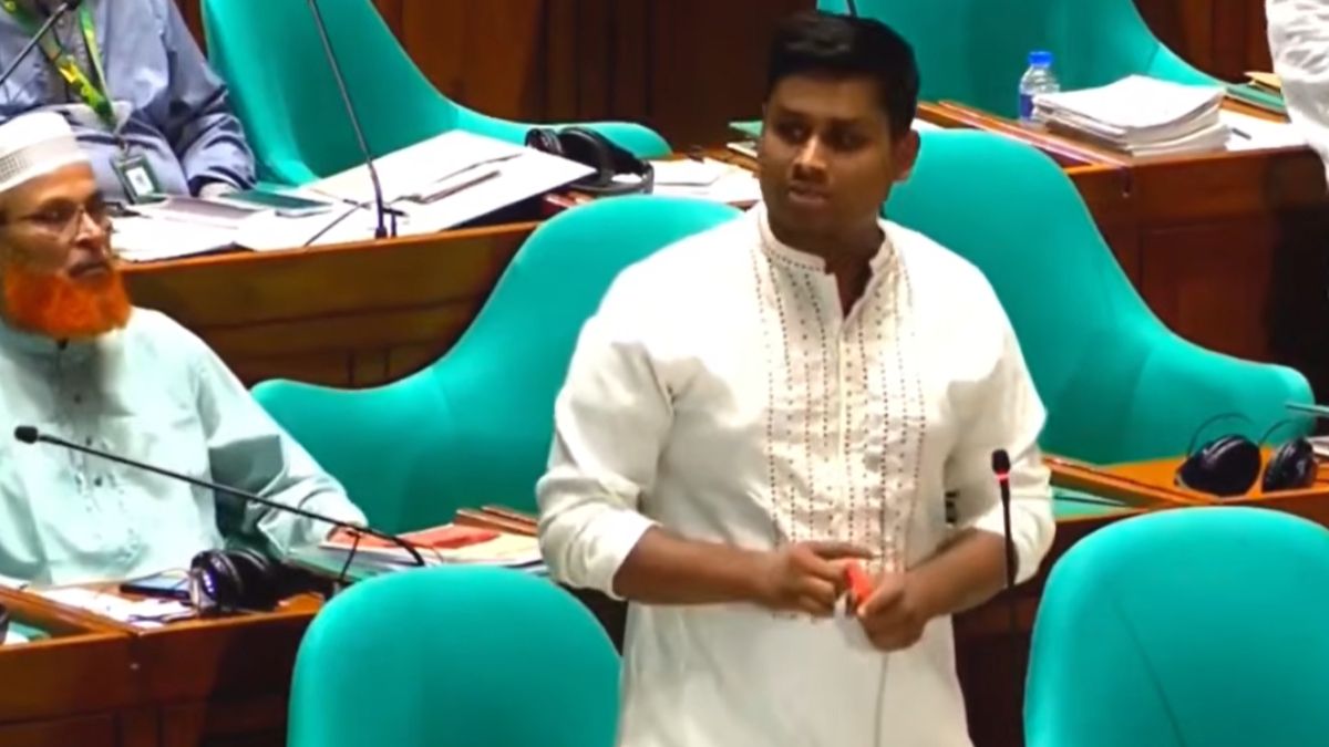 ‘এলাকায় মুখ দেখাতে পারি না’- সংসদে হাসনাত আবদুল্লাহ