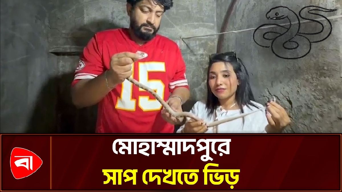  মোহাম্মাদপুরে ঘরের চালে মিলল ঘরগিন্নি সাপ