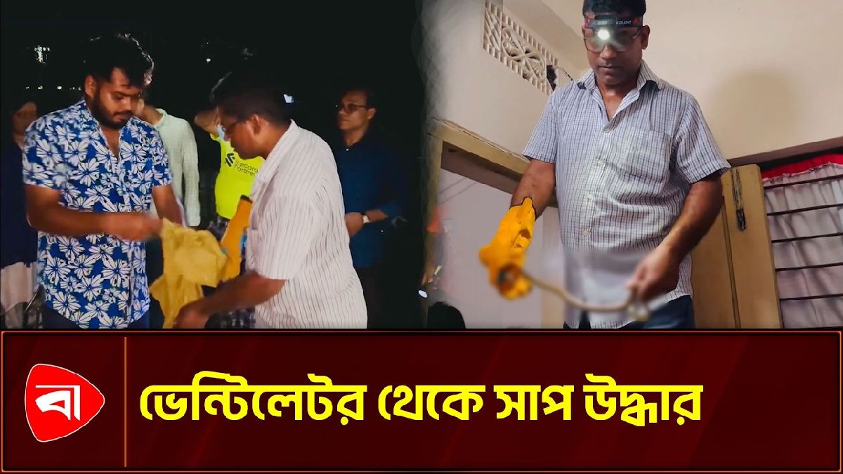ভেন্টিলেটর থেকে সাপ উদ্ধার