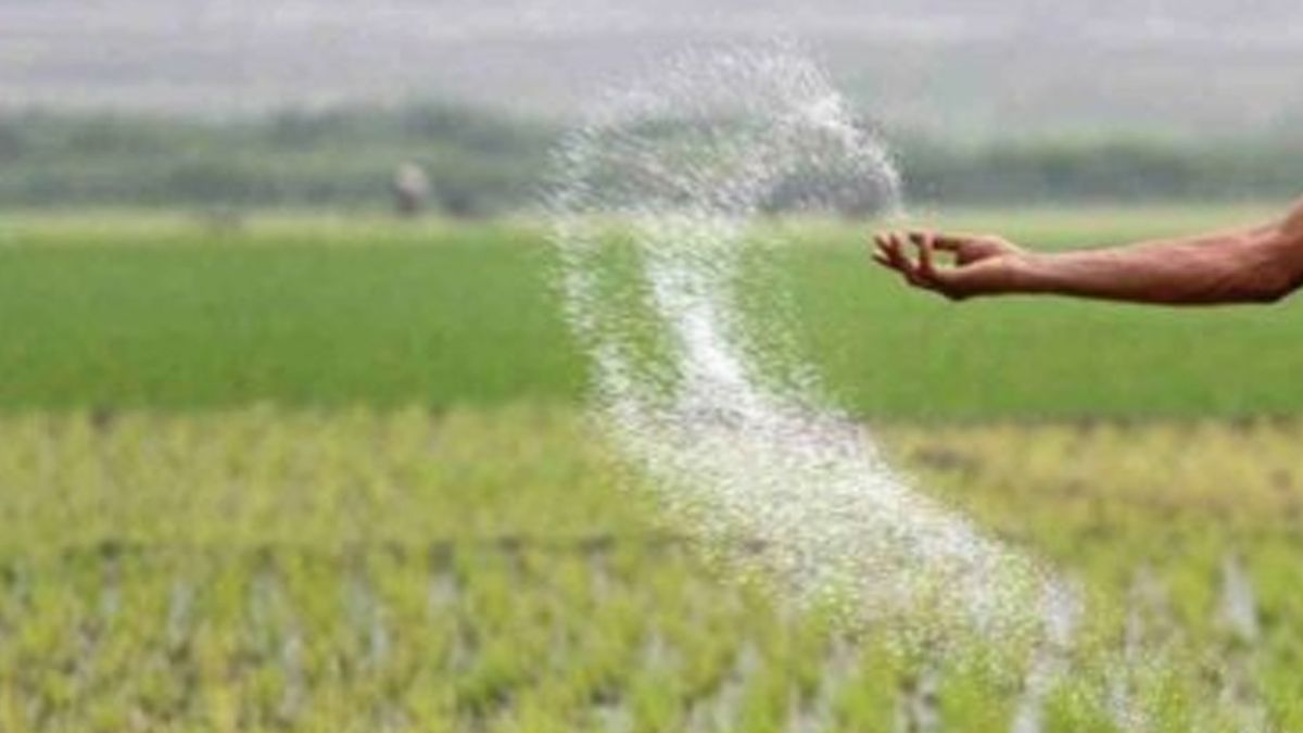 ৪৪ হাজার খুচরা সার বিক্রেতার কর্মসংস্থান ঝুঁকিতে