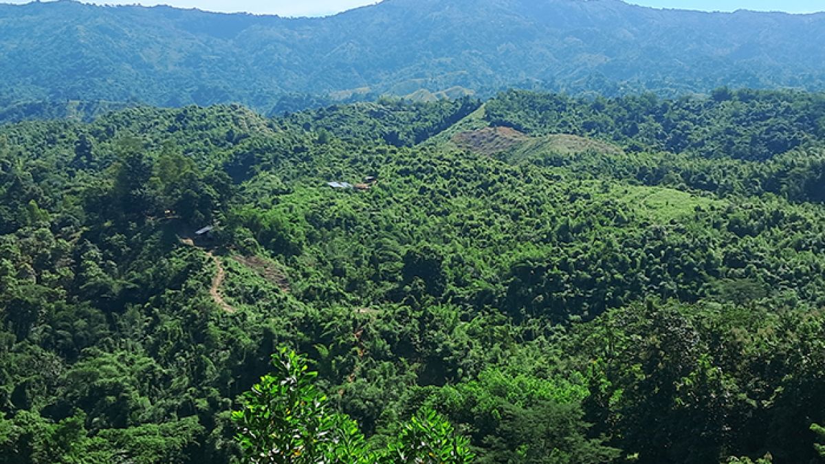 বান্দরবানে ছয় রাবার শ্রমিককে অপহরণ