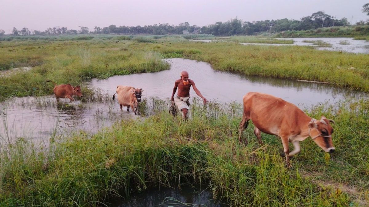 মুরাদনগরে দখলবন্দি খাল