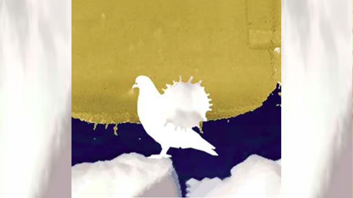 বাসনার নহর থেকে উঠে আসা শহর
