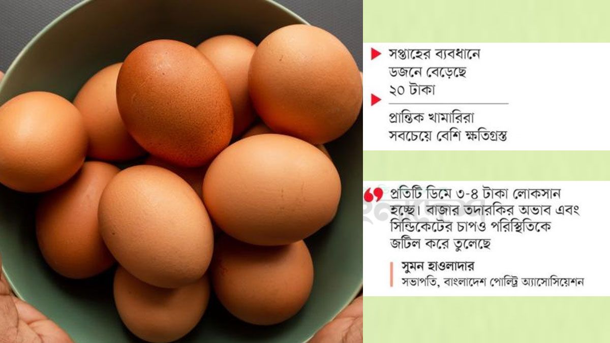 হঠাৎ কেন আক্রা হলো আন্ডা